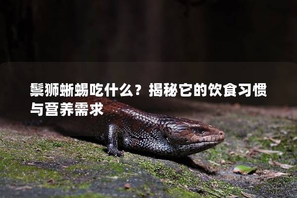 鬃獅蜥蜴吃什么？揭秘它的飲食習(xí)慣與營養(yǎng)需求